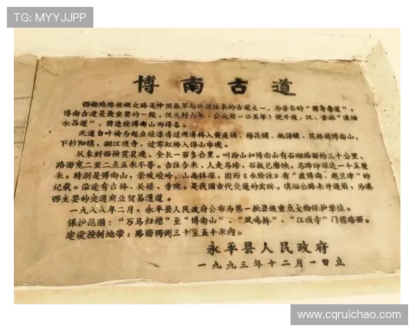 《茶马古道》：一曲荡气回肠的史诗，一段穿越时空的传奇